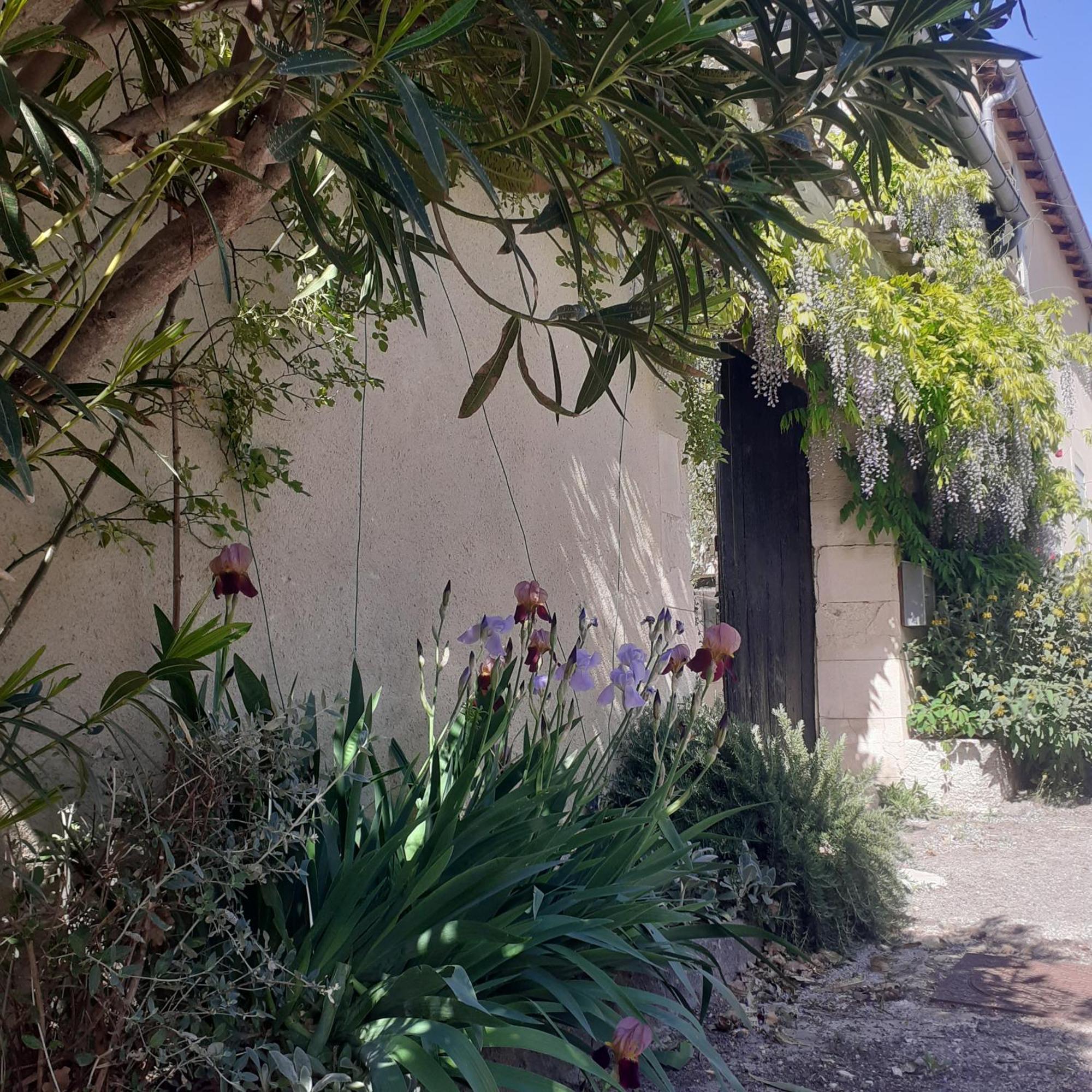 Les Gres Logis De Charme Villa Grignan Dış mekan fotoğraf